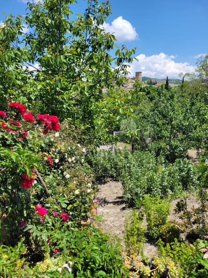 Comfort, Parcheggio E Balcone Su Tricarico In Basilicata, Io Sono Qui Exteriör bild